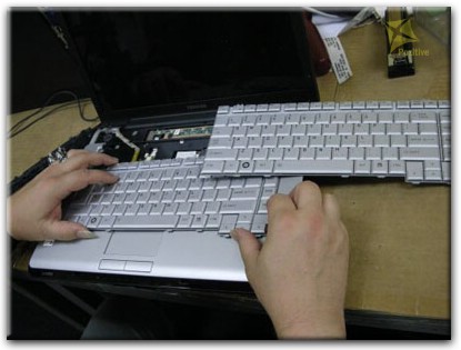 Ремонт клавиатуры на ноутбуке Toshiba в Ялте